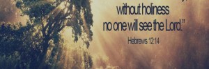 hebrews12_14-688x230