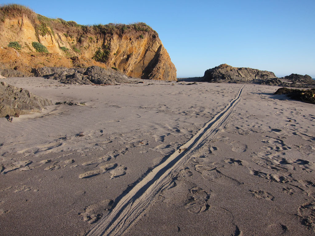 Lines in the&nbsp;Sand