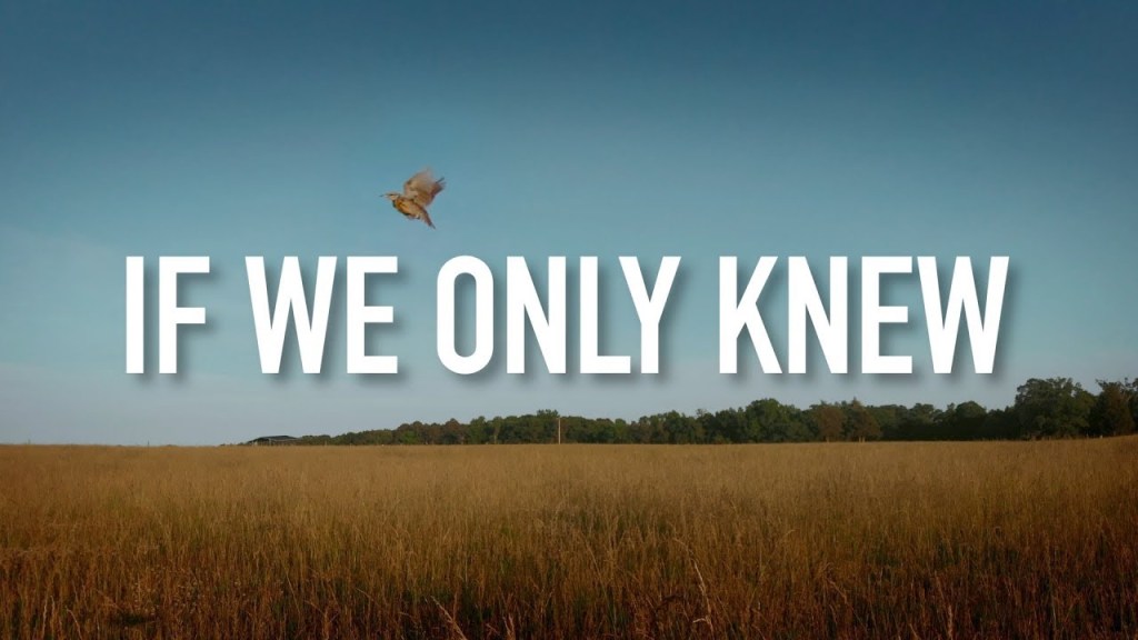 A Raise But No Promotion…or Were&nbsp;We?